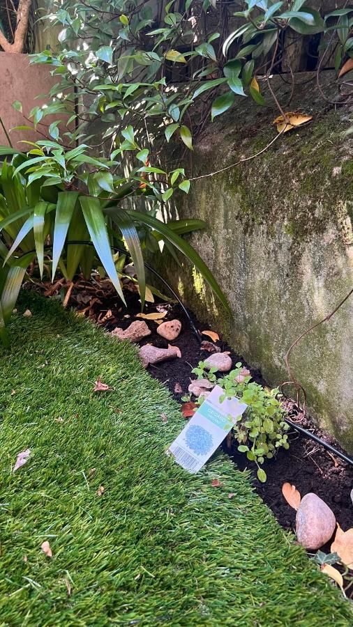 Apartment Garden Bolzano