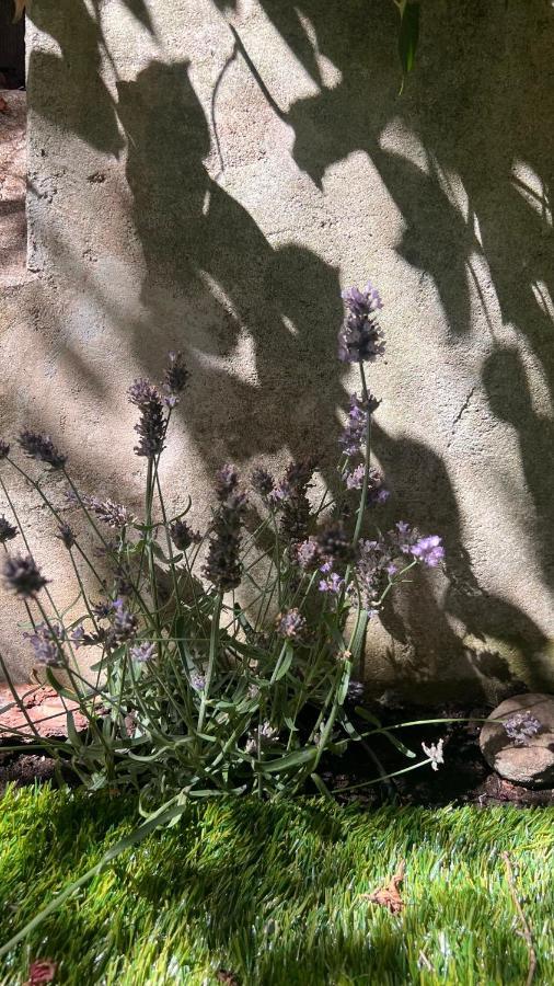 Apartment Garden *