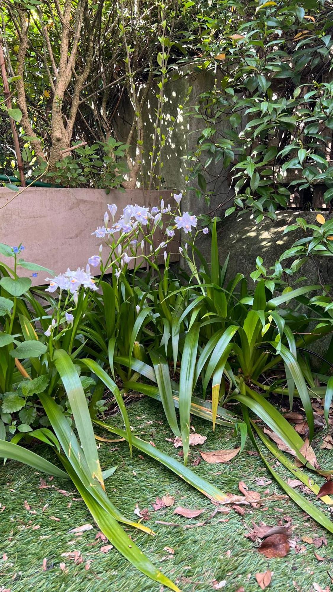 Appartement Garden