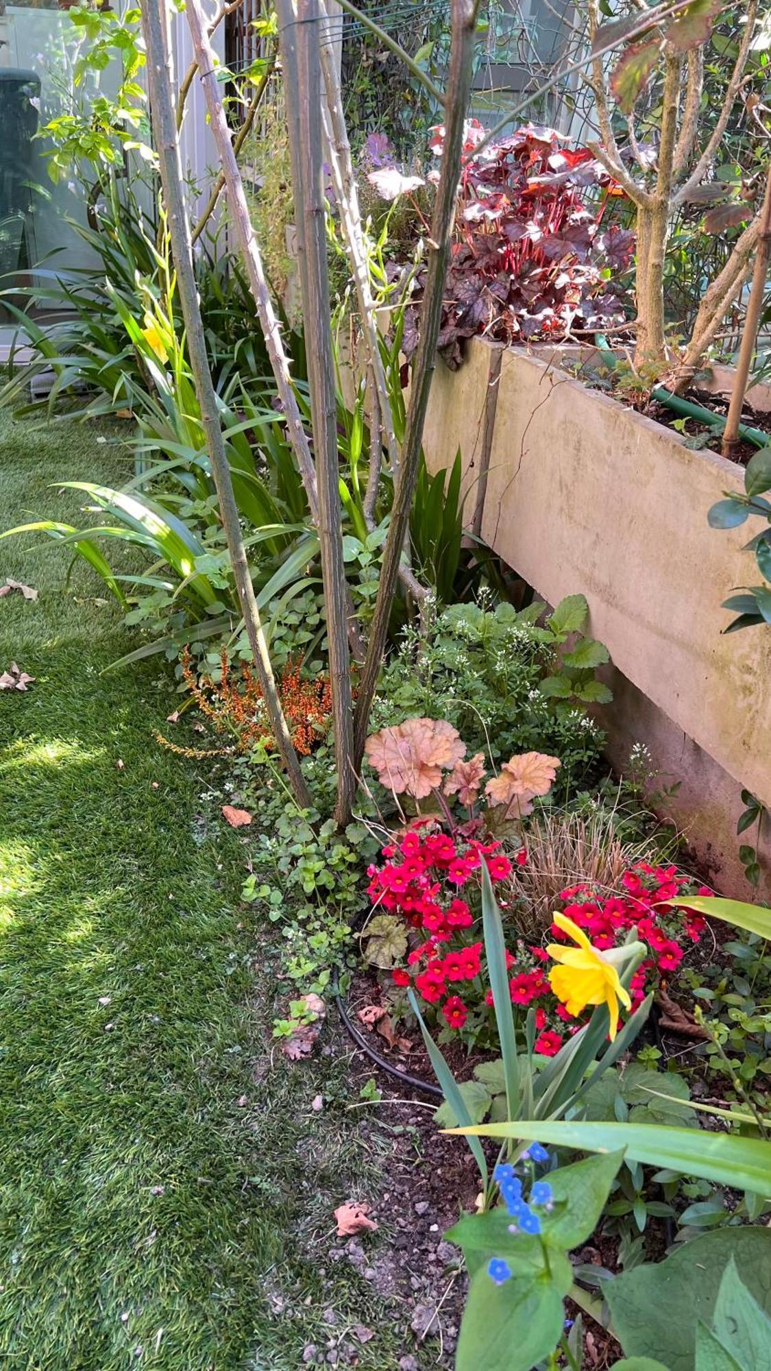 Apartment Garden