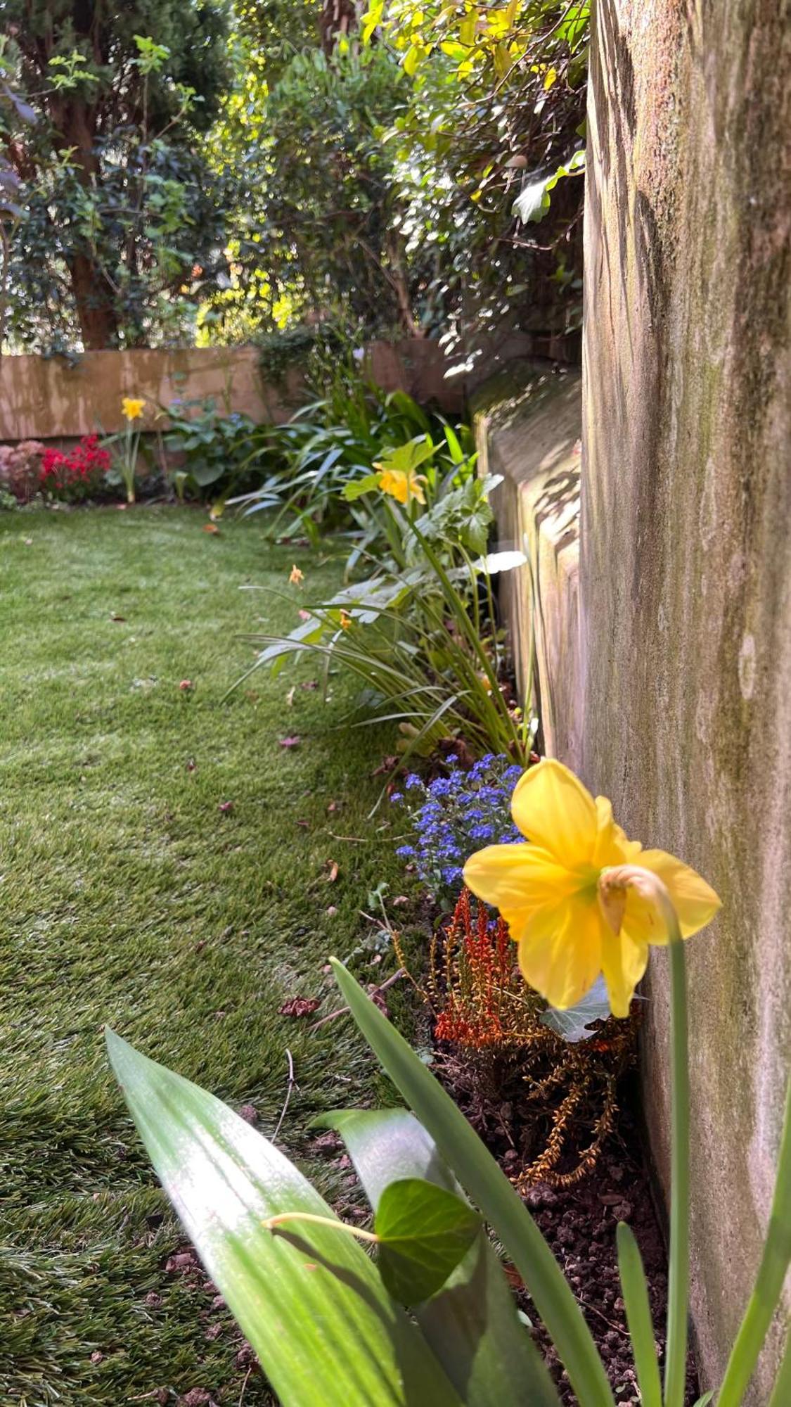 Apartment Garden Bolzano