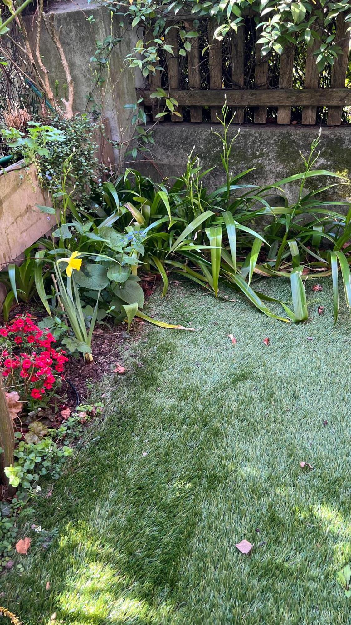 Garden * Bozen